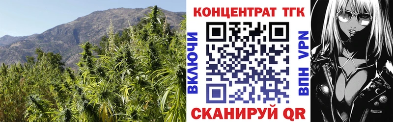 купить наркотики сайты  Нюрба  ТГК Wax 